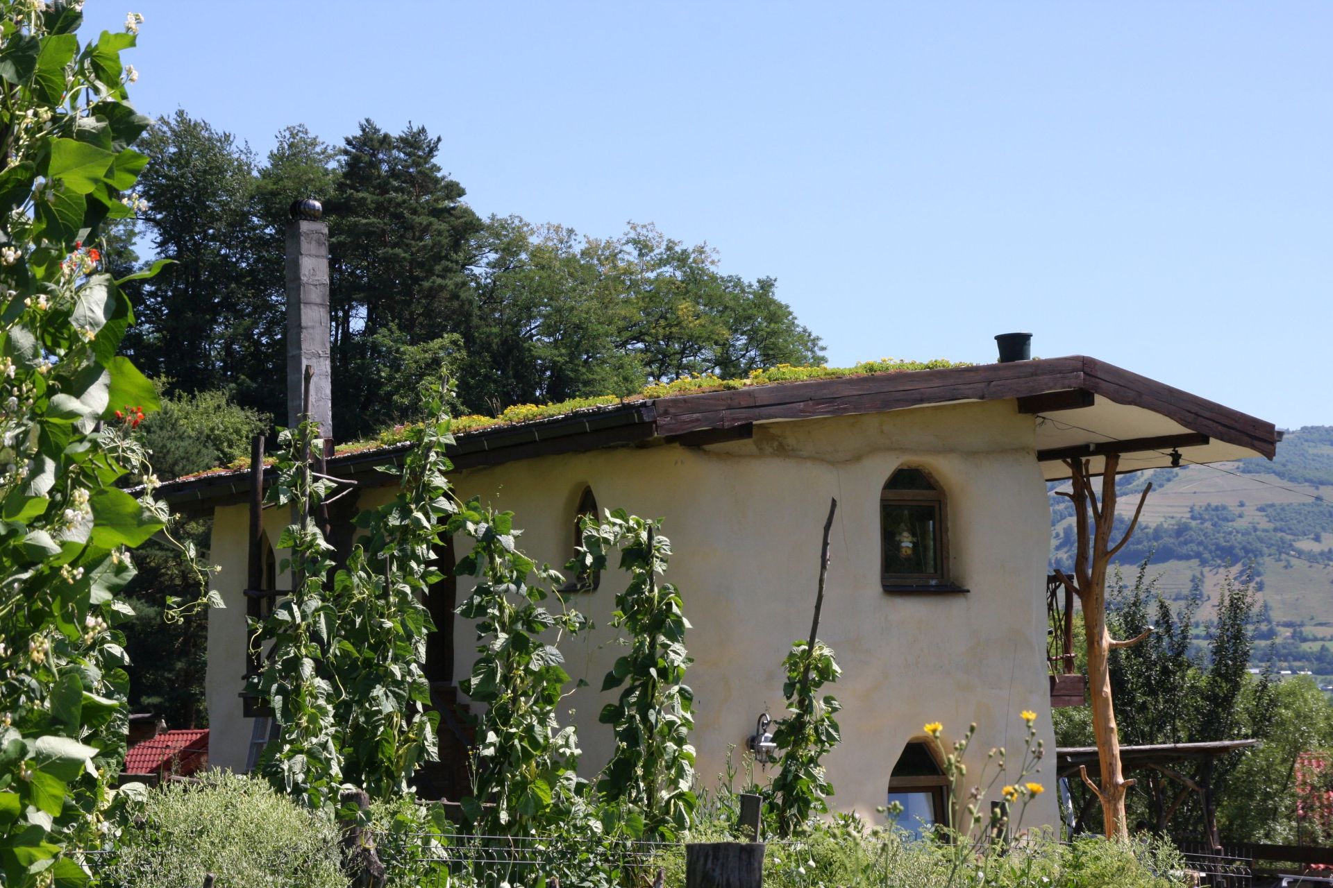 Căsuţa din poveşti: Doi fraţi din Bistriţa au construit o locuinţă ecologică unicat, din lemn, paie şi muşchi de copac, care atrage turiştii din toate colţurile lumii