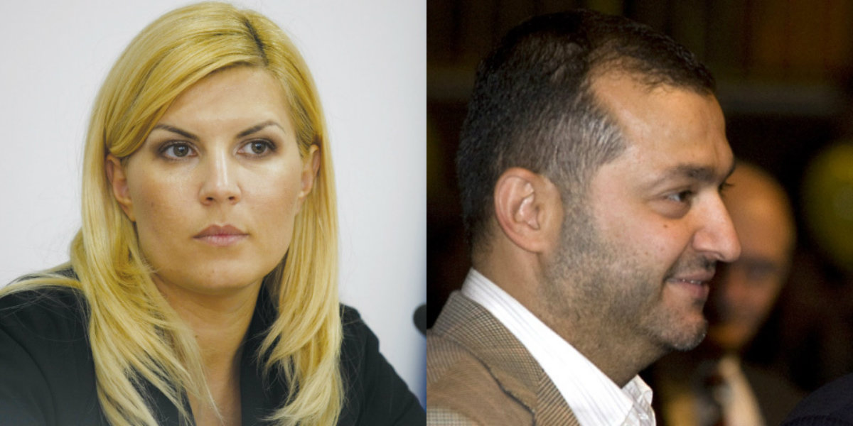 Elena Udrea şi Dan Andronic, judecaţi pentru trafic de influenţă, respectiv mărturie mincinoasă