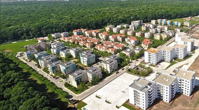 Primăria Capitalei vrea o parte din Pădurea Băneasă. Ce vrea să construiască