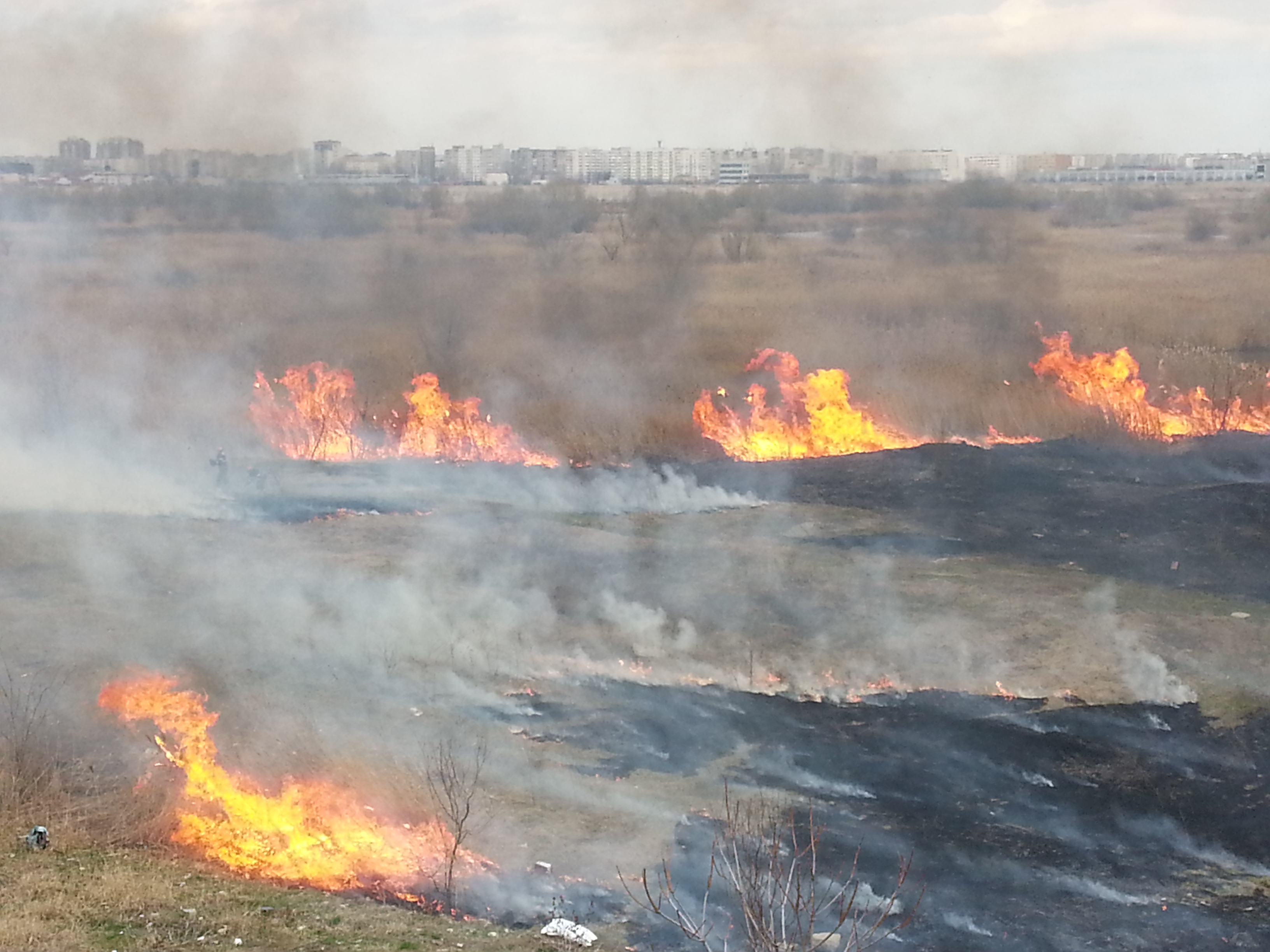 Incendiu major de vegetaţie în Capitală: Opt autospeciale de stingere acţionează în zona Ghencea