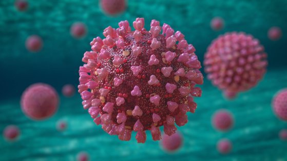 Coronavirus. Scădere uşoară a cazurilor raportate în ultimele 24 de ore, dar cresc decesele