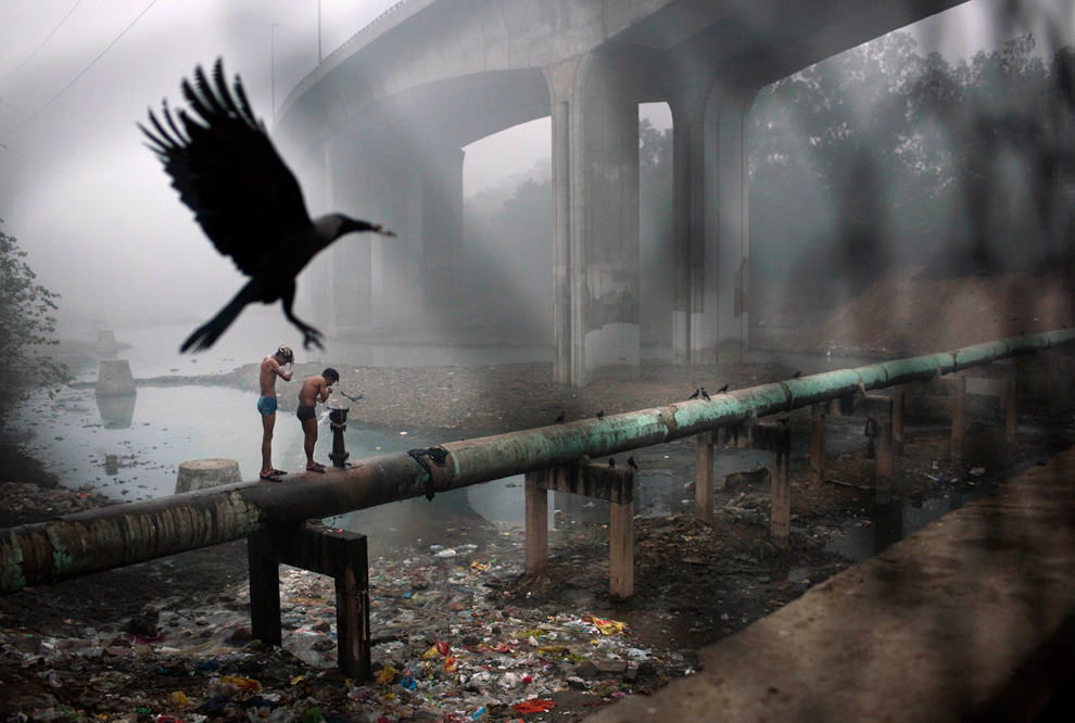 Oraşul New Delhi a declarat stare de urgenţă şi a impus restricţii de transport, din cauza poluării
