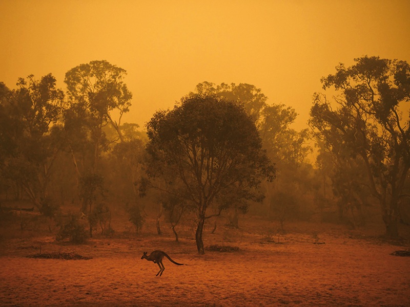 Situaţie alarmantă în Australia: Temperaturile cresc mai puternic decât media la nivel global