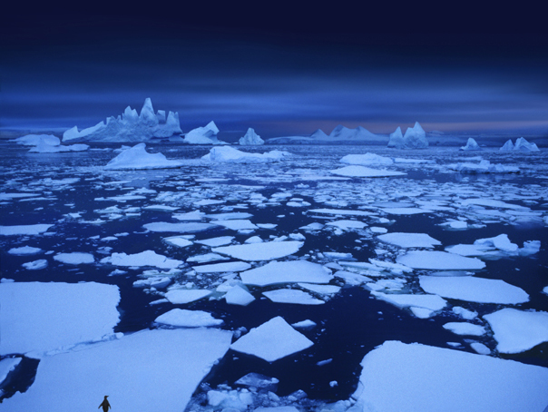 Un iceberg de peste 1.200 de kilometri pătraţi s-a desprins de Antarctica