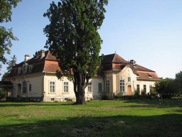 Artmark: Preţuri de la 300.000 de euro pentru vila lui Ceauşescu de la Predeal şi Cula Greceanu