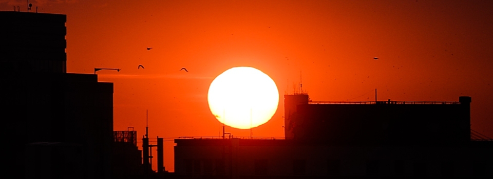 Primele cinci cele mai calde veri din ultima jumătate de mileniu s-au înregistrat în ultimii 15 ani