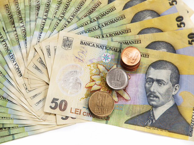 Leul s-a depreciat cu 32% faţă de euro în şapte ani,...