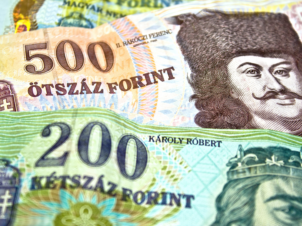 Războiul din Ucraina face victime: după rubla rusească care a scăzut cu 65%, forintul ungar şi zlotul polonez sunt cele mai lovite monede după atacul Rusiei asupra Ucrainei. Leul a devenit cea mai stabilă monedă, în timp ce euro a pierdut 4,7% faţă de dolar