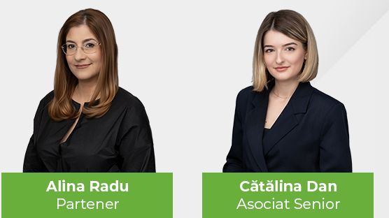 Firma de avocatură NNDKP a asistat un sindicat de bănci, coordonat de BCR, în finanţarea de 260 mil dolari contractată de producătorul de aluminiu ALRO