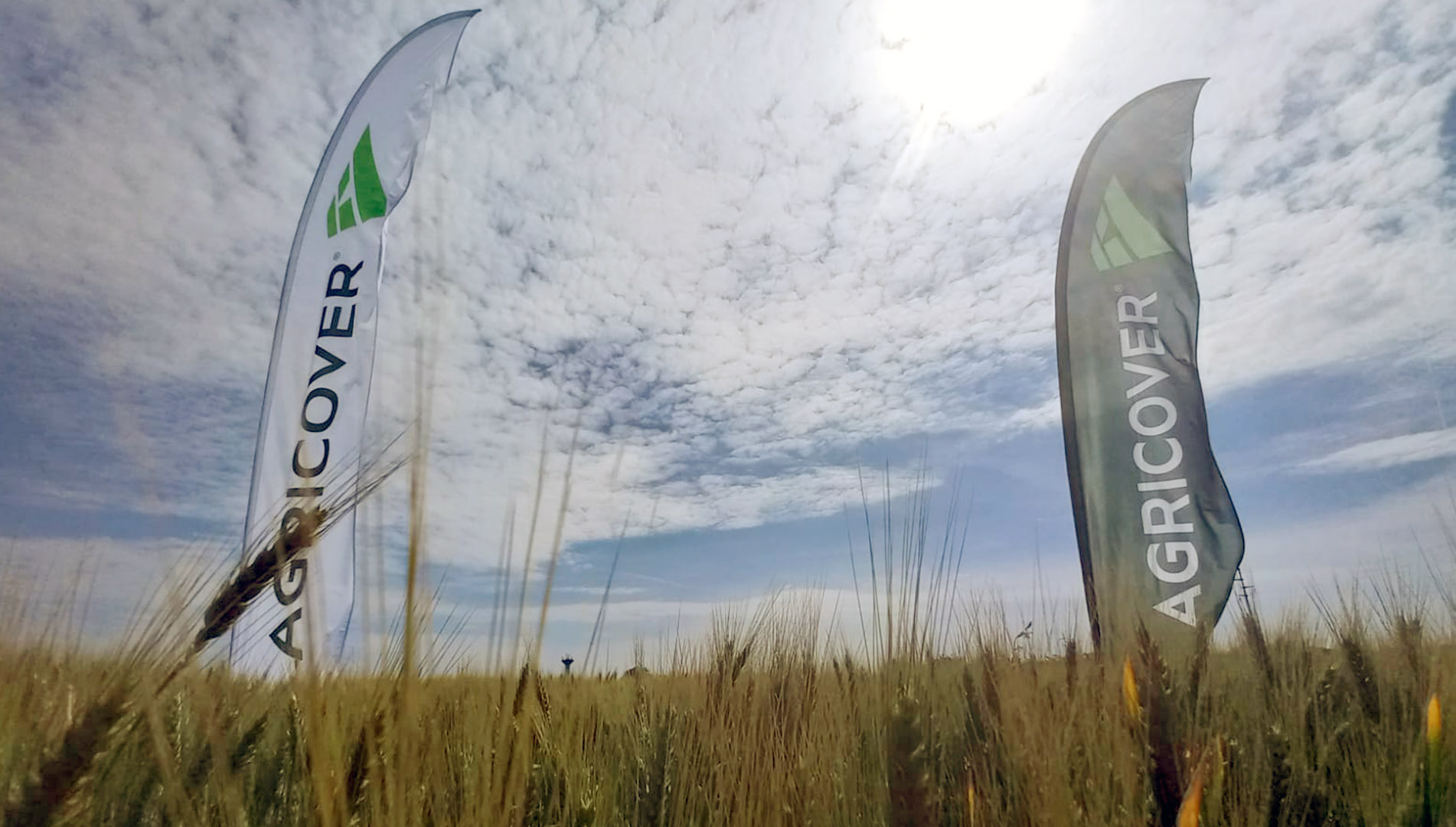 Agricover Holding încheie 2023 cu profit net consolidat de 44 mil. lei. Compania anunţă că începând cu 2024 vrea să introducă distribuirea sub formă de dividende a 30% din profit