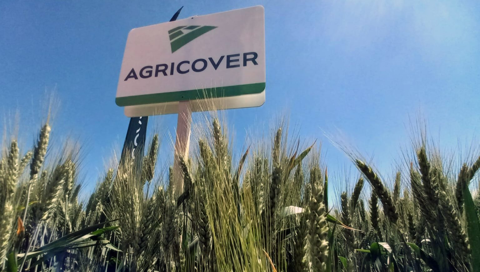Bursă. Agricover Holding, cu BERD în acţionariat, vrea să dea acţionarilor dividende de 30 mil. lei din profiturile nedistribuite din anii anteriori