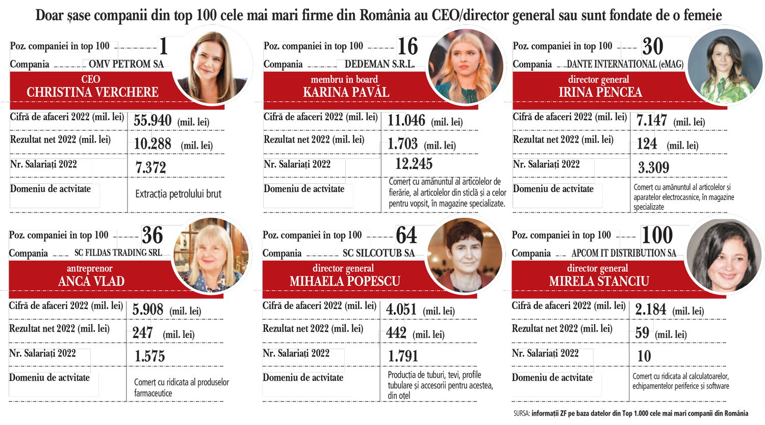 Doar şase femei conduc o companie din top 100 cele mai mari din România. Cele şase companii au o cifră de afaceri cumulată de 17 mld. euro şi 26.000 de angajaţi. „Marile companii au încă o mentalitate conservatoare bazată pe stereotipuri sociale“