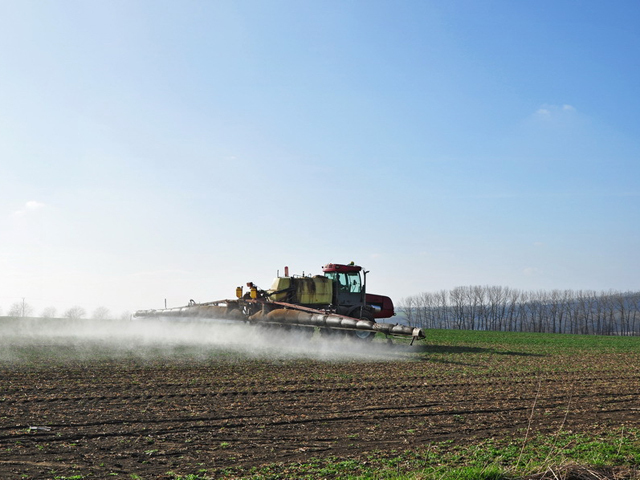 Un fermier german plăteşte 1 milion de euro pentru 110 hectare de teren arabil în Arad