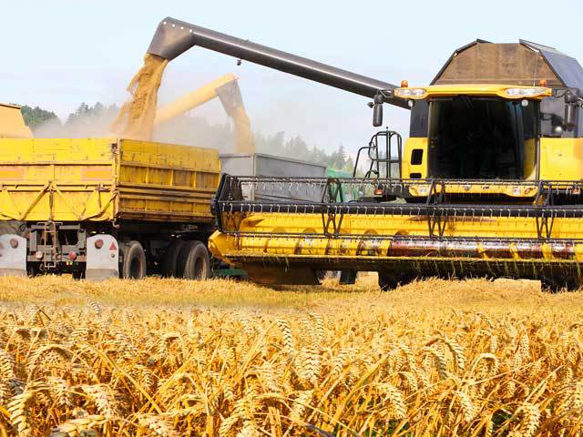 „Cordonul cerealelor“: cinci judeţe din sud şi est trag în sus agricultura românească