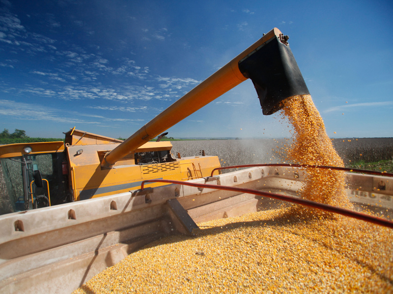 Atracţia pentru Ameropa, ADM, Cargill şi Glencore: comerţul cu cereale a ajuns la 4,5 miliarde de euro