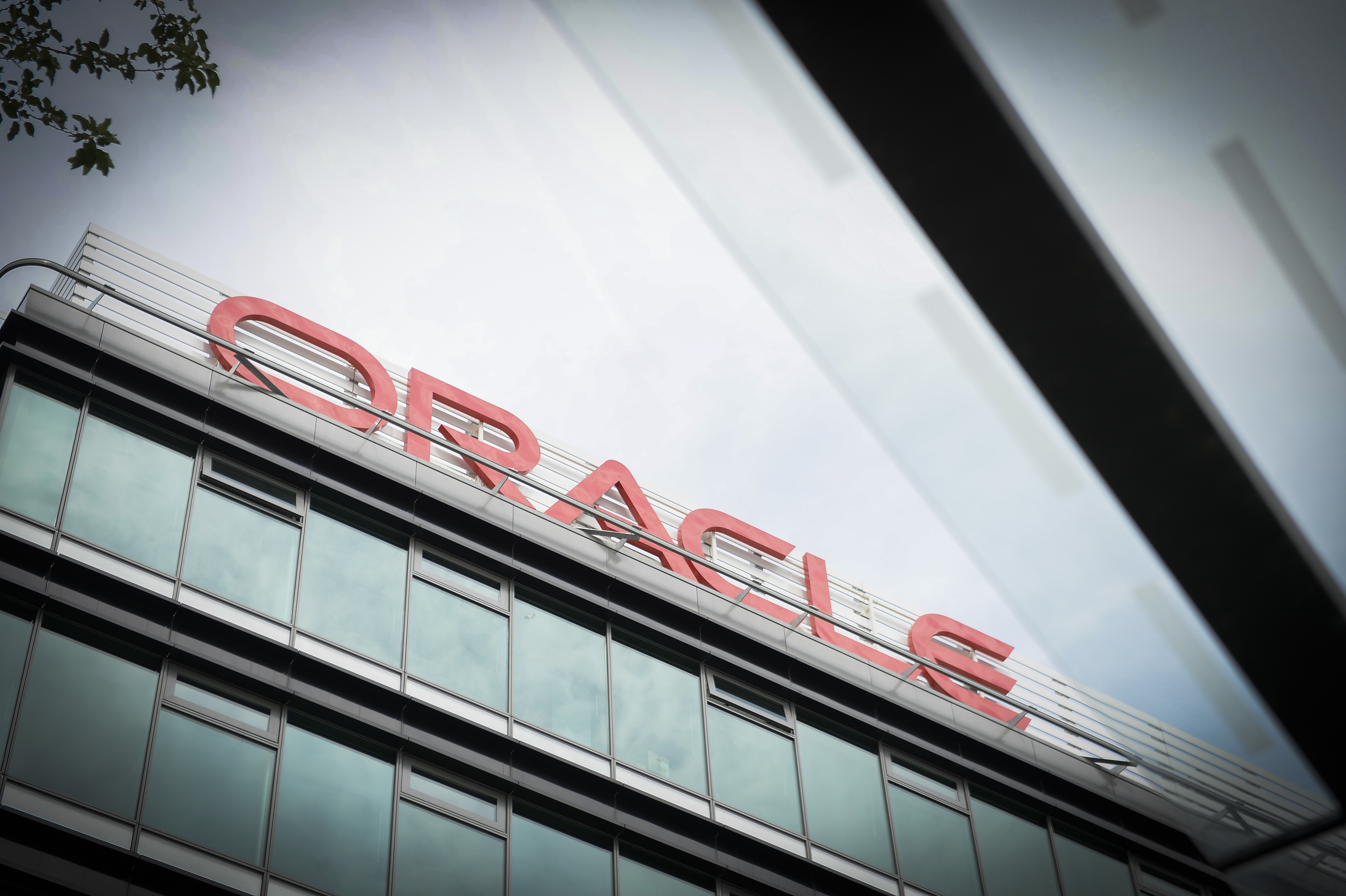 Reorganizare la Oracle: Compania a redus locurile de muncă în marketing şi în divizia pentru experienţa clienţilor din SUA