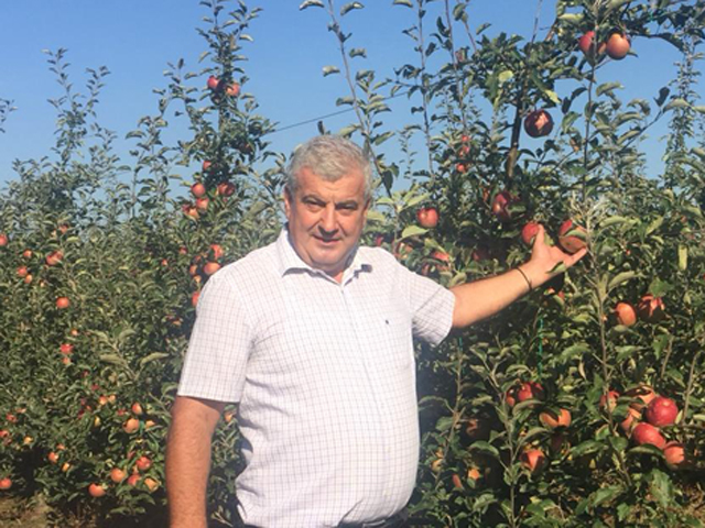 Un producător din Fălticeni vinde sucuri de mere marca aRoma în Carrefour, Auchan, Selgros, Metro şi Mega Image