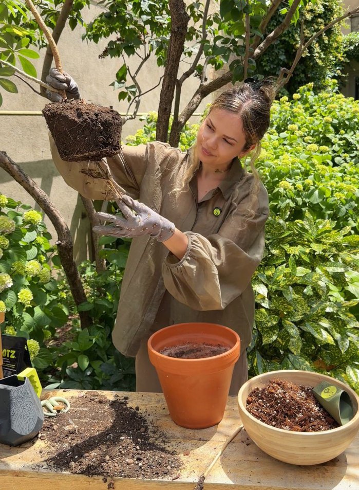 Să cumperi un bonsai este uşor, dar să îl îngrijeşti corect poate fi o provocare: cum a transformat Teodora Cotruţă pasiunea sa pentru grădinărit într-un business care le oferă o a doua şansă plantelor tale