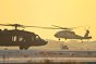 9 militari americani au murit în urma prăbuşirii a două elicoptere Black Hawk