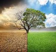 World Bank: Climate Change Mitigation Actions In Romania To Involve Consumer Price Hikes And Tax Increases