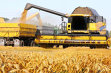 Germina Agribusiness Posts RON1.53M Profit In H1