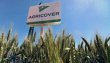 Agricover Holding Ends 2024 With RON44M Consolidated Net Profit