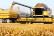 Grain Trader Agro Oil Service Sees 2022 Turnover Go Up by 15.3% To RON281.2M