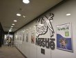 Nestlé Posts 4.4% 9M Growth In Romania