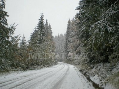 Maşinile fără anvelope de iarnă nu mai pot trece dinspre Braşov spre Bucureşti pe DN1
