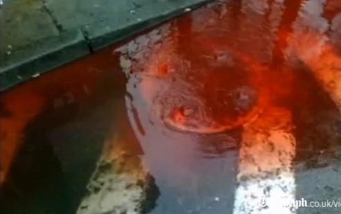 VIDEO - Un oraş din Polonia, înecat în sânge. La propriu