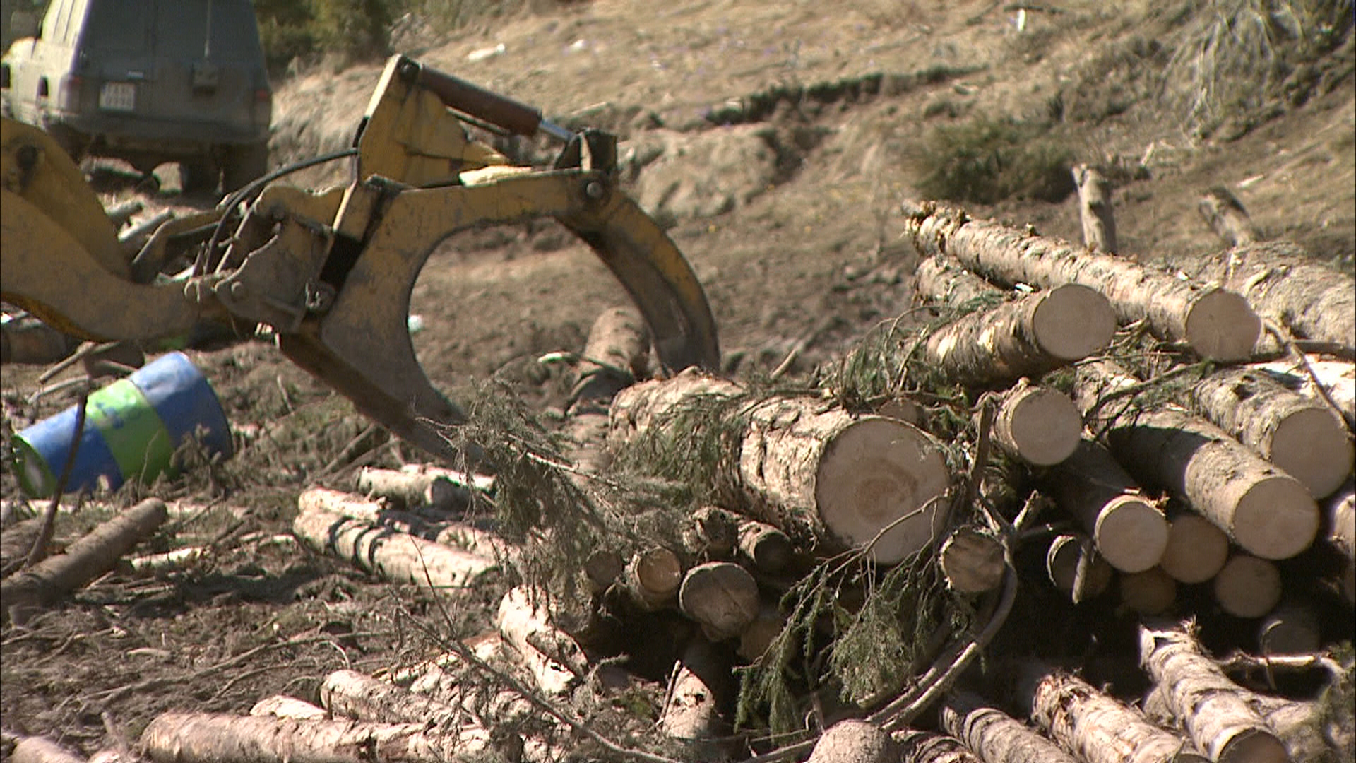 Peste 900 de hectare de pădure defrişate ilegal într-o zonă protejată din Argeş