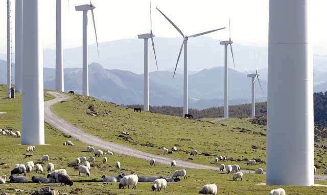 Elcomex îşi face fermă de capre cu banii primiţi pe parcul eolian dezvoltat pentru Enel