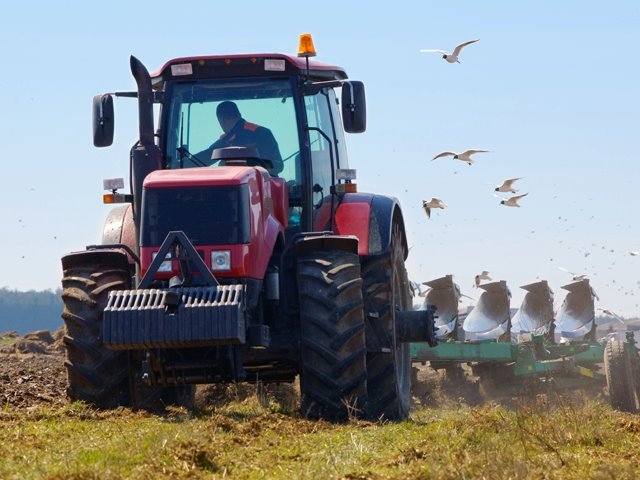 O familie de fermieri din Olt a plătit 2 mil. euro pe 850 ha