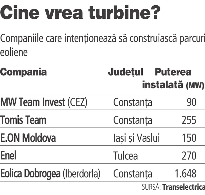 Investitorii privati din energie fac coada la Transelectrica. Cine termina insa investitiile?