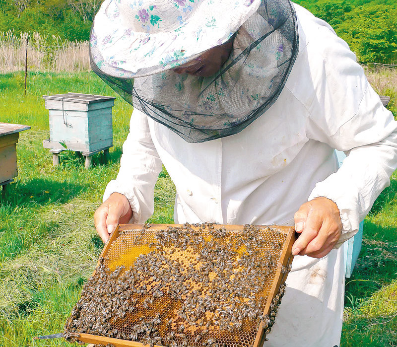 Tinerii au găsit secretul afacerii la sat: apicultura sau plantaţii de flori