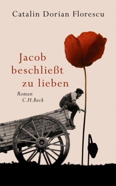 Cartea anului 2011 în Elveţia, Jacob se hotărăşte să iubească/ de Claudia Fitcoschi