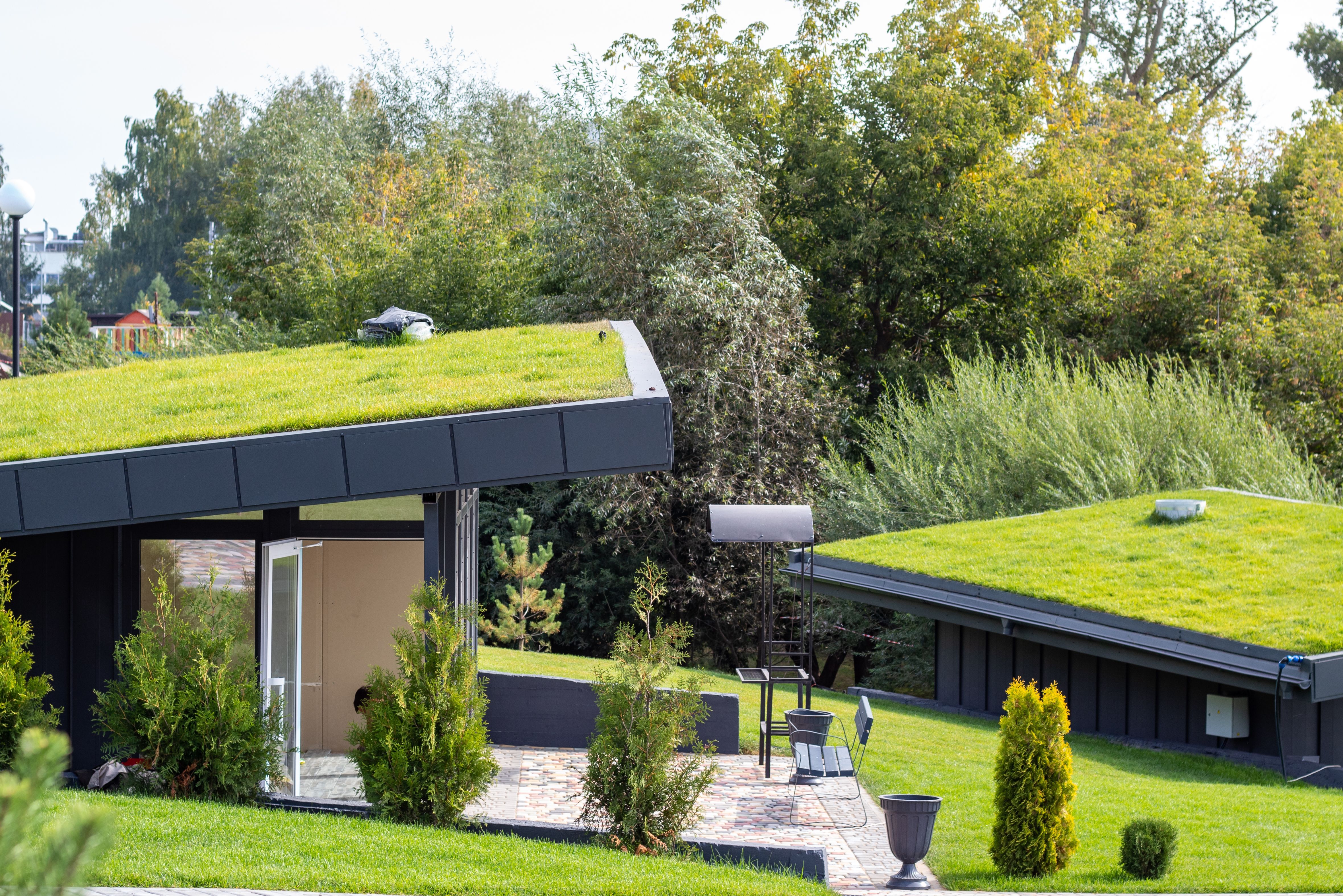 5 beneficii ale acoperişurilor verzi, cea mai nouă tendinţă în construcţii, de la BMI România