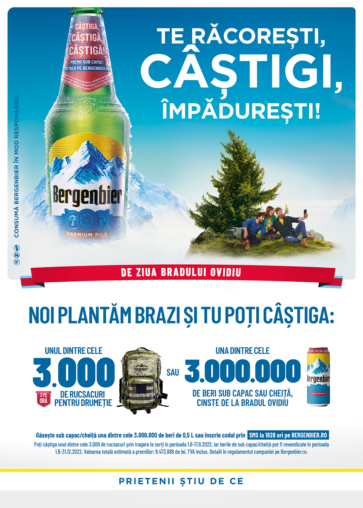 Bradul Ovidiu: O altfel de campanie de CSR . Cum poate consumul de bere să stimuleze reîmpădurirea României