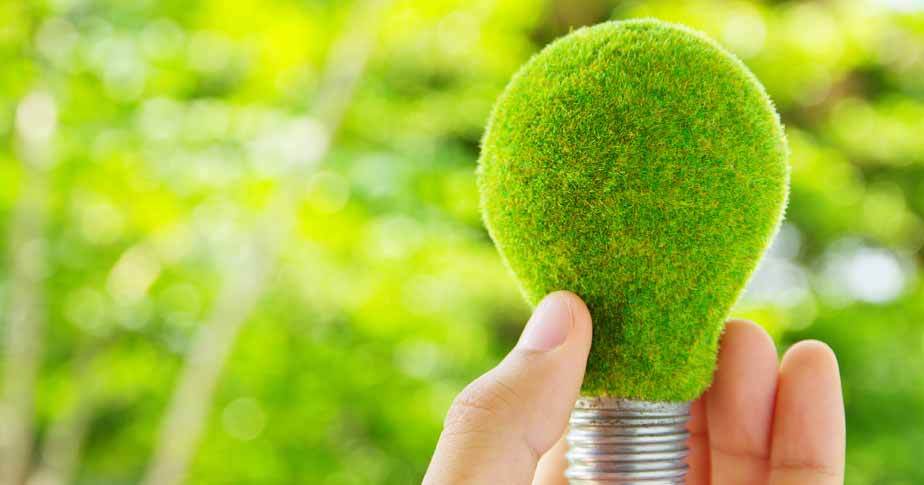Energia verde fierbe. Investiţii de 3 mld. euro aşteaptă cu sufletul la gură verdictul în „dosarul subvenţiilor“