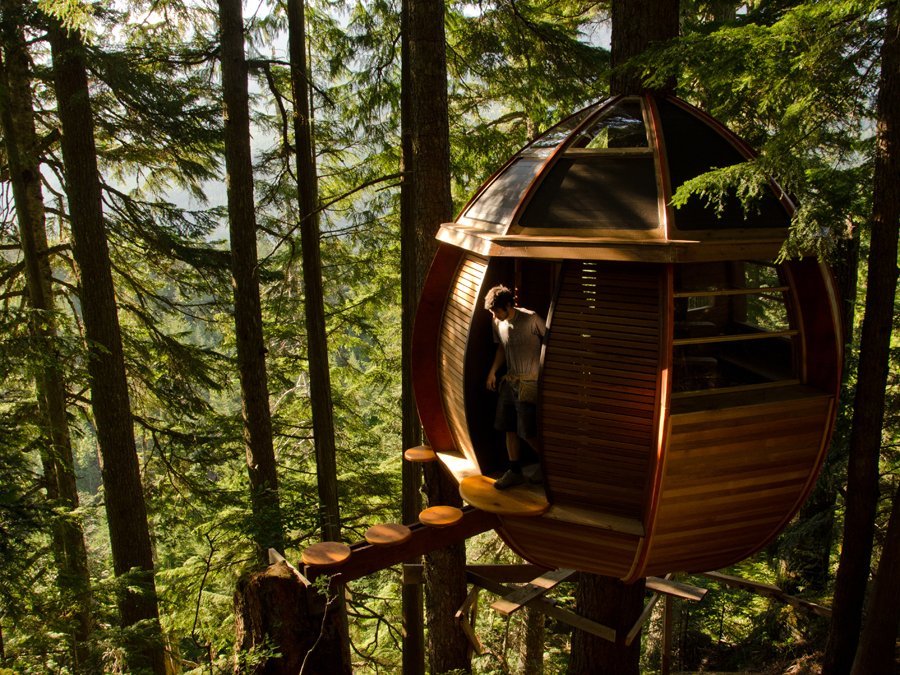 Un tâmplar a construit o incredibilă casă în copac în sălbăticia Canadei - GALERIE FOTO