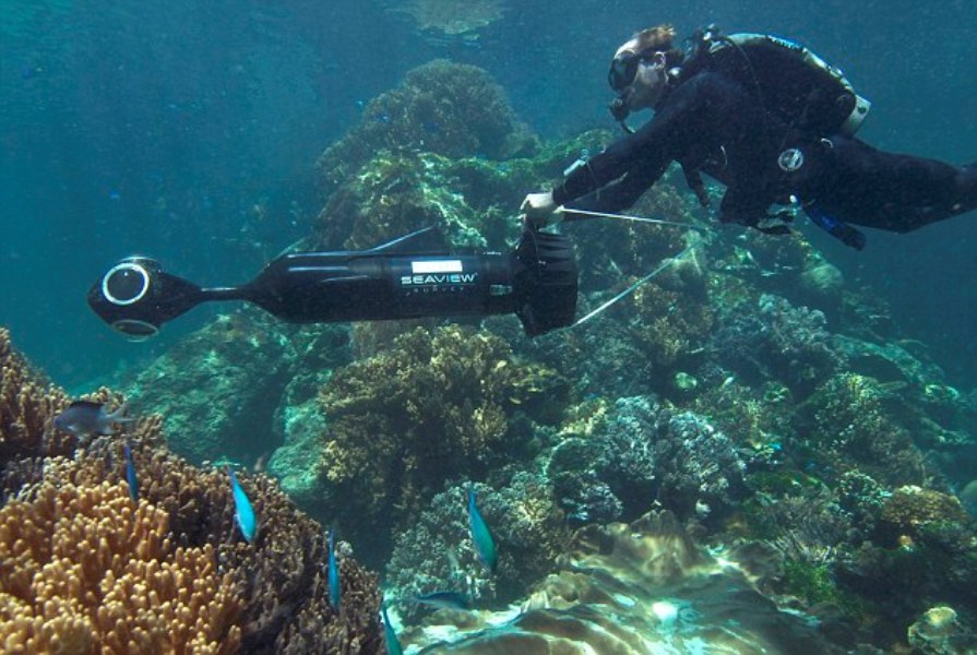 Nu scapi de Google nici sub apă. După StreetView urmează SeaView. Cum puteţi "călători" cu noul serviciu pe sub apă GALERIE FOTO
